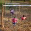 children swinging on the robinia swings in the park