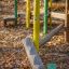 Wooden playground equipment in autumn leaves - Alice's house.