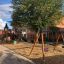 Playground with Baby Dragon rocking structure.