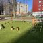 Obstacle course in a playground area with rope nets and climbing structures.