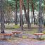 Wooden Balance Board playground equipment with spring base in forest setting