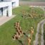 Cape Code âŚ€ 20-25 cm outdoor wooden playground equipment installed in a grassy area behind a build