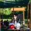 Picnic Shelter w/ Blackboard with people attending outdoor lesson in park