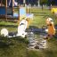Quadro Walrus-Seal rocking playground equipment on grass