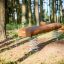 Wooden playground balance beam with spring supports in a forest.