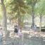 Children playing on the Elbrus Eco playground structure in a park.