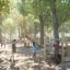 Children playing on the Captain’s Bridge Eco playground set in a park.