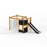 Little Jungle Nature