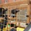 Children playing on Gorilla Nature wooden playground climbing structure.