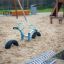SeeSaw playground equipment on a sandy playground