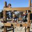 Children playing on Sherwood wooden playhouse.