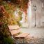 Bench, Steel Construction in a scenic autumn garden.