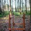 Kongo children's balance bridge in a forest playground.