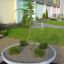 Decorative concrete planter with green tree and small bushes at modern building entrance.
