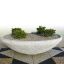 Outdoor stone planter Fossano with green shrubs