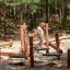Sahara wooden playground balancing equipment with a child walking on it in forest setting