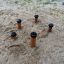 Five wooden stumps with black tops from the Madagascar (5 pcs set) playground equipment.