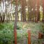 Outdoor wooden exercise equipment in forest, Single Somersault Nature.