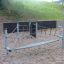 Wonderland Trim Trail playground equipment consisting of balance beams and rope bridges