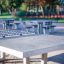 Concrete table tennis, free-standing in an outdoor park with blurred background.