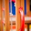 Red handle on Zebra single slide wooden play structure.