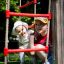 Children playing on the Climbing Kiosk playset.