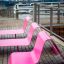 Pink modern lounge chair by the water with cityscape in the background.