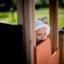Child playing inside a Train playground structure