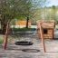 robinia wooden swing with a bird nest seat