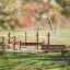 obstacle course in the park