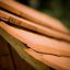 Wooden roof detail, Veranda House Nature.