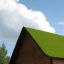 Grass roof of Veranda House Nature against a blue sky with clouds.