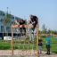 wooden climbing frame